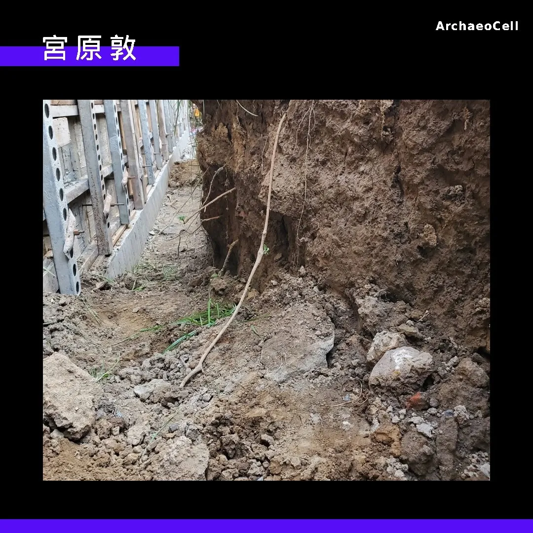 宮原敦：是醫生也是考古學家