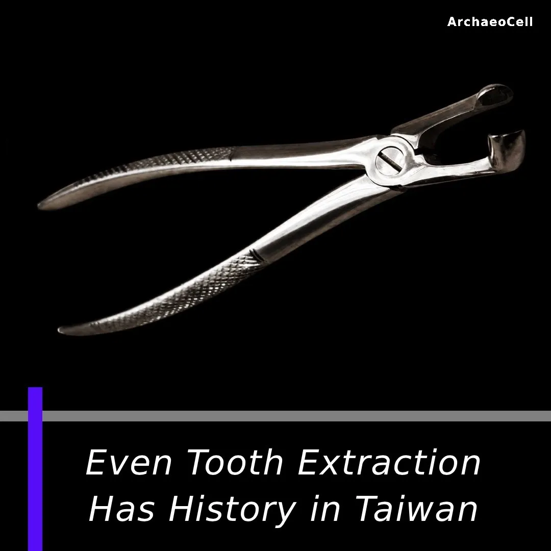 拔牙也有台灣史