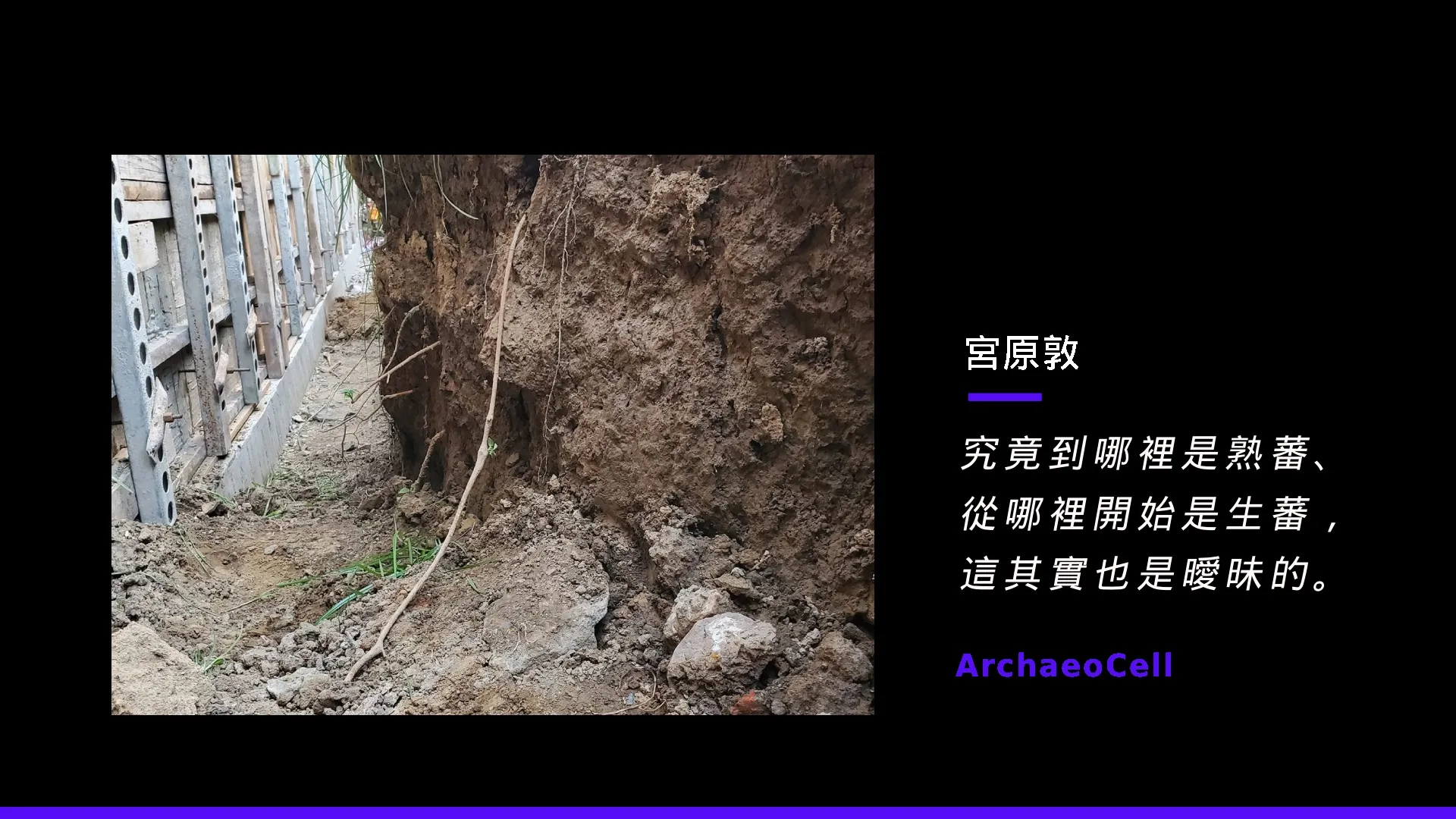 宮原敦：是醫生也是考古學家